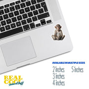 Monkey Sticker - Cute Animal Vinyl Decal, Monkey Wall Art, Fun Jungle Decor, Car Stickers & Party Favors