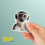 Monkey Sticker - Cute Animal Vinyl Decal, Monkey Wall Art, Fun Jungle Decor, Car Stickers & Party Favors
