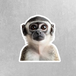 Monkey Sticker - Cute Animal Vinyl Decal, Monkey Wall Art, Fun Jungle Decor, Car Stickers & Party Favors