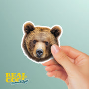 Grizzly Bear Sticker | Brown Bear Decal | Grizzly Bear Decal