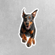 Doberman Running Sticker - Doberman Decal - Doberman Water Bottle Sticker