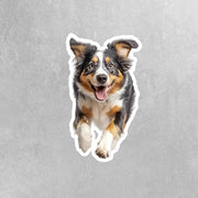 Australian Shepherd Running Sticker - Australian Shepherd Decal for Water Bottles, Car & Laptop - Cute Australian Shepherd Dog Vinyl Art