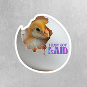 I Just Got Laid Sticker - Funny Chicken Sticker - Funny Chick Sticker