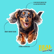 Dachshund Running Sticker - Long Hair Dachshund Decal for Water Bottles, Car & Laptop - Cute Dachshund Dog Vinyl Decal