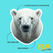 Polar Bear Sticker | Polar Bear Head Decal for Walls & Laptops | Fun Animal Decor