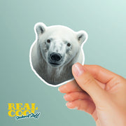 Polar Bear Sticker | Polar Bear Head Decal for Walls & Laptops | Fun Animal Decor