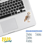 Barn Owl Sticker | Cute Wildlife Decal for Nature Lovers | Perfect Gift for Bird Watchers & Owl Enthusiasts