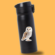 Barn Owl Sticker | Cute Wildlife Decal for Nature Lovers | Perfect Gift for Bird Watchers & Owl Enthusiasts