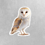 Barn Owl Sticker | Cute Wildlife Decal for Nature Lovers | Perfect Gift for Bird Watchers & Owl Enthusiasts