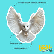 Barn Owl Sticker | Cute Wildlife Decal for Nature Lovers | Perfect Gift for Bird Watchers & Owl Enthusiasts