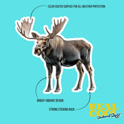 Moose Sticker - Cute Moose Vinyl Decal for Home Decor, Laptop, Water Bottle & More - Woodland Animal Art