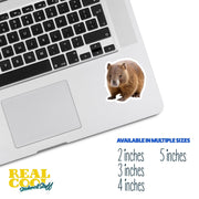 Wombat Sticker | Cute Animal Vinyl Decal | Perfect for Laptops, Water Bottles & Journals | Gift for Animal Lovers