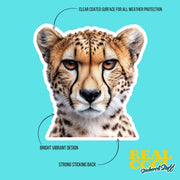 Cheetah Sticker - Cheetah Decal - Wild Animal Stickers