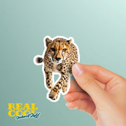 Cheetah Sticker - Cheetah Decal - Running Cheetah Sticker