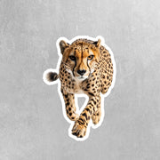 Cheetah Sticker - Cheetah Decal - Running Cheetah Sticker