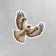 Hawk Sticker | Flying Hawk Sticker | Perfect Gift for Bird Watchers & Hawk Enthusiasts