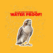 Hawk Sticker | Hawk Decal | Perfect Gift for Bird Watchers & Hawk Enthusiasts