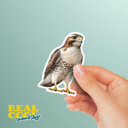 Hawk Sticker | Hawk Decal | Perfect Gift for Bird Watchers & Hawk Enthusiasts