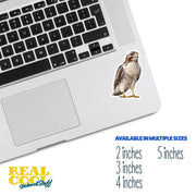 Hawk Sticker | Hawk Decal | Perfect Gift for Bird Watchers & Hawk Enthusiasts
