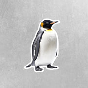 Penguin Sticker - Penguin Decal - Cute Penguin Sticker