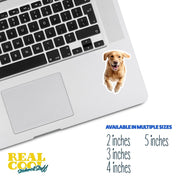 Golden Labrador Running Sticker - Golden Lab for Water Bottles, Car & Laptop - Cute Brindle Labrador Dog Vinyl Decal