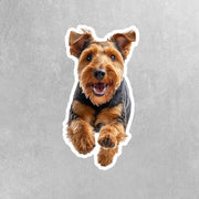 Airedale Terrier Sticker | Cute Airedale Terrier Decal for Dog Lovers | Waterproof Pet Vinyl Sticker | Gift for Dog Owners