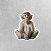 Monkey Sticker - Cute Animal Vinyl Decal, Monkey Wall Art, Fun Jungle Decor, Car Stickers & Party Favors