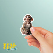 Monkey Sticker - Cute Animal Vinyl Decal, Monkey Wall Art, Fun Jungle Decor, Car Stickers & Party Favors