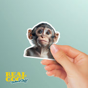 Monkey Sticker - Cute Animal Vinyl Decal, Monkey Wall Art, Fun Jungle Decor, Car Stickers & Party Favors