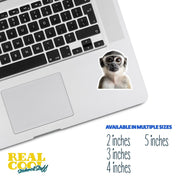 Monkey Sticker - Cute Animal Vinyl Decal, Monkey Wall Art, Fun Jungle Decor, Car Stickers & Party Favors