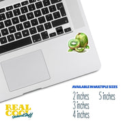 Kiwi Sticker - Watercolor Kiwi Decal for Laptops, Water Bottles & Notebooks | Cute Fruit Art Decor