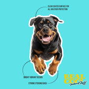 Running Rottweiler Sticker - Vinyl Dog Decal, Cute Rottweiler Art, Pet Lover Gift, Car Laptop Sticker, Dog Owner Accessory