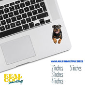 Running Rottweiler Sticker - Vinyl Dog Decal, Cute Rottweiler Art, Pet Lover Gift, Car Laptop Sticker, Dog Owner Accessory