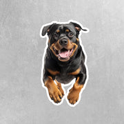 Running Rottweiler Sticker - Vinyl Dog Decal, Cute Rottweiler Art, Pet Lover Gift, Car Laptop Sticker, Dog Owner Accessory