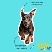 Doberman Running Sticker - Doberman Decal - Doberman Water Bottle Sticker