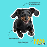 Dachshund Running Sticker - Black Dachshund Decal for Water Bottles, Car & Laptop - Cute Dachshund Dog Vinyl Decal