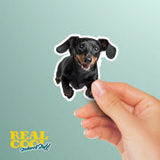 Dachshund Running Sticker - Black Dachshund Decal for Water Bottles, Car & Laptop - Cute Dachshund Dog Vinyl Decal