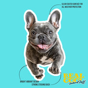 French Bulldog Running Sticker - Frenchie Decal for Water Bottles, Car & Laptop - Cute French Bulldog Dog Vinyl Decal