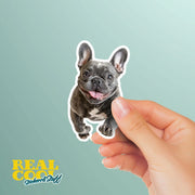 French Bulldog Running Sticker - Frenchie Decal for Water Bottles, Car & Laptop - Cute French Bulldog Dog Vinyl Decal