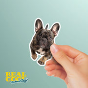 French Bulldog Running Sticker - Frenchie Decal for Water Bottles, Car & Laptop - Cute Brindle French Bulldog Dog Vinyl Decal