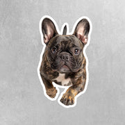 French Bulldog Running Sticker - Frenchie Decal for Water Bottles, Car & Laptop - Cute Brindle French Bulldog Dog Vinyl Decal