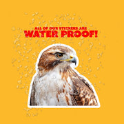 Hawk Sticker | Hawk Head Vinyl Decal for Car, Laptop & Water Bottle | Wild Bird Art % Nature Lover Gift