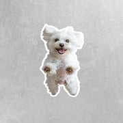 Maltese Jumping Sticker - Maltese Decal for Water Bottles, Car & Laptop - Cute Maltese Dog Vinyl Art