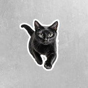 Running Black Cat Sticker - Vinyl Cat Decal, Cute Cat Art, Pet Lover Gift, Car Laptop Sticker, Cat Owner Accessory