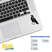 Crow Sticker | Unique Black Bird Vinyl Decal, Nature Lover Gift, Car & Laptop Accessories, Bird Art for Home Decor