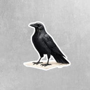 Crow Sticker | Unique Black Bird Vinyl Decal, Nature Lover Gift, Car & Laptop Accessories, Bird Art for Home Decor