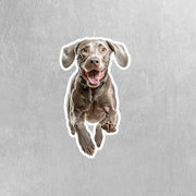 Running Weimaraner- Vinyl Dog Decal, Cute Weimaraner Decal, Pet Lover Gift, Car Laptop Sticker, Dog Owner Accessory