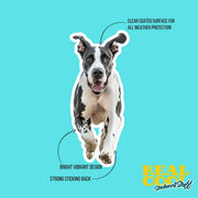 Running Great Dane Sticker - Vinyl Dog Decal, Cute Great Dane Art, Pet Lover Gift, Car Laptop Sticker, Dog Owner Accessory