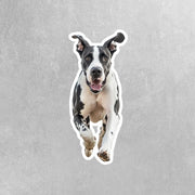 Running Great Dane Sticker - Vinyl Dog Decal, Cute Great Dane Art, Pet Lover Gift, Car Laptop Sticker, Dog Owner Accessory