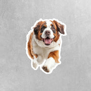 Saint Bernard Running Sticker - Saint Bernard Decal for Water Bottles, Car & Laptop - Cute Saint Bernard Dog Vinyl Decal